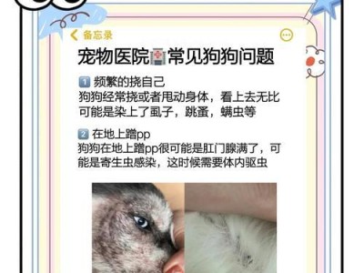幼犬体外驱虫（健康养宠必备，科学驱虫保证）