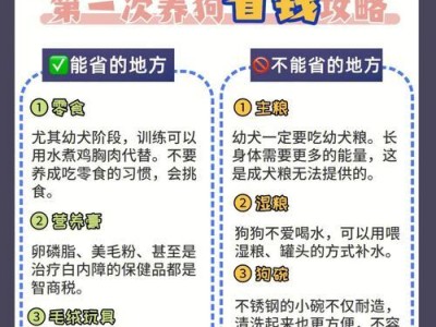 狗狗年龄换算表修正后的准确计算方法（揭秘狗狗年龄与人类年龄的真正关系）