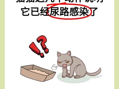 猫咪尿道感染（探索猫咪尿道感染的病因、症状和治疗方法）