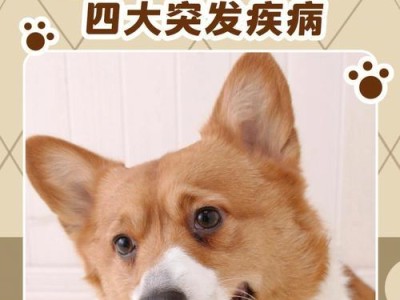 狗传染性肝炎的症状及预防措施（了解狗传染性肝炎的常见症状，预防宠物健康风险）