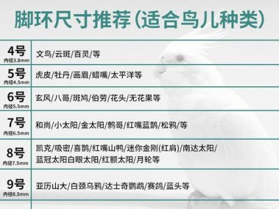 如何使用牵引绳训练猫？（重要提示和关键注意事项）