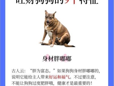 花钱如流水养“体质虚弱”的6种狗（为宠物健康投资，照顾虚弱狗狗的养育经验）