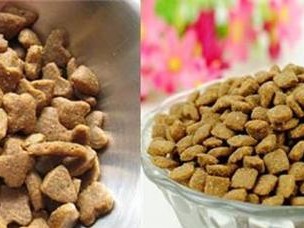 选择适合哈士奇幼犬的最佳狗粮（了解哈士奇幼犬的饮食需求，选择最适合的狗粮）