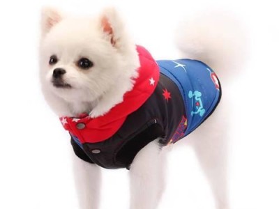 狗狗衣服（探索狗狗衣服的不同类型和其重要性）