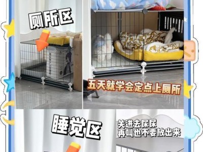 如何训练狗狗定点上厕所（三天学会，告别乱拉便便）