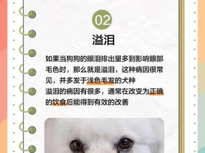 揭秘动物的色觉秘密（狗狗的视力可能比人类还优越）