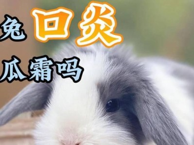 灰栗兔的饲养方法（全面了解灰栗兔的饲养技巧及饲养注意事项）