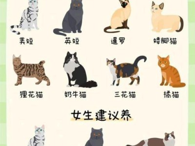 猫的缺点（探索猫咪不完美之处的真相）