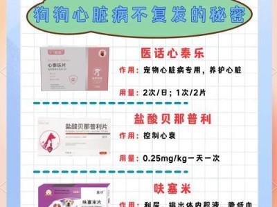 狗狗吃完药后多久有效果？（药物治疗对狗狗的影响以及有效果的时间）