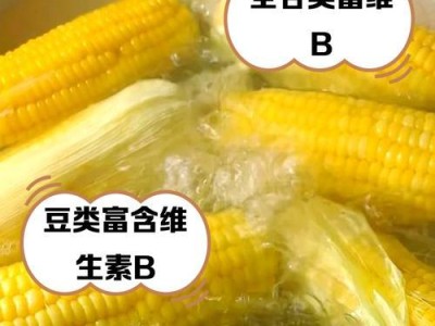 狗食中含有的重要维生素及其作用（为你的宠物选择合适的营养来源）