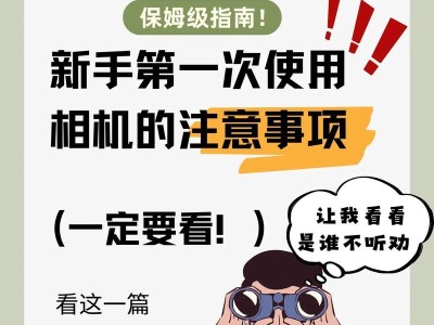 仓鼠新手必读（学会正确判断仓鼠性别的方法，为宠物照顾提供便利）
