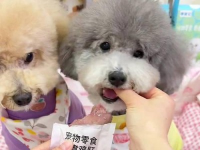 狗狗何时可以开始吃零食？（了解合适的时间和食用注意事项）