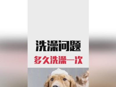 新生狗狗的洗澡频率（探究新生狗狗洗澡的最佳时间间隔）