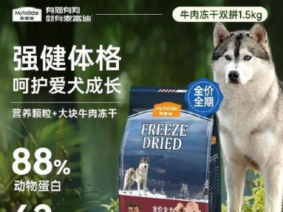 泰迪犬的饮食健康（为你的泰迪选择合适的进口粮）