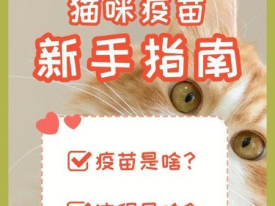 以外面捡的猫打什么役苗（捡到的小猫成为家庭宠物，给我们带来了什么？）