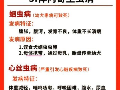 狗能传播哪些疾病？（了解狗与人类之间的疾病传播风险）