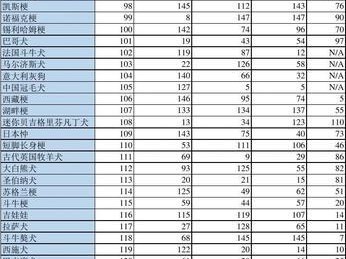 养护罗福梗耳朵的要诀（教你如何正确护理宠物耳朵，避免罗福梗患病）