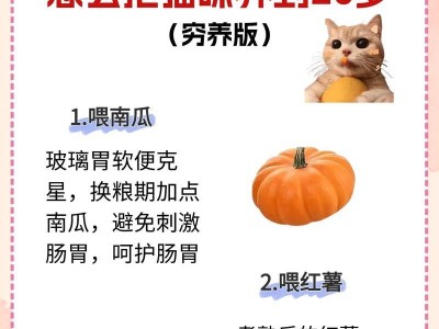 猫咪日常饮食需求详解（了解猫咪的基础常识，合理喂养你的爱宠）