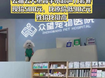 公狗绝育手术后何时可以恢复正常饮食？（了解公狗绝育手术后饮食恢复的时间及注意事项）