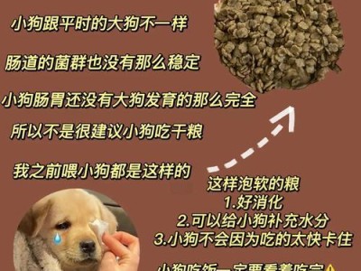 小狗生完多久能吃？（了解小狗产后喂养的重要时间节点）