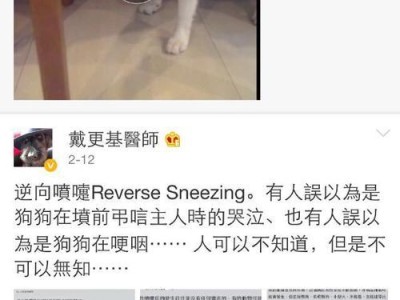 宠物猫死后的处理方式（如何妥善处理宠物猫的遗体）