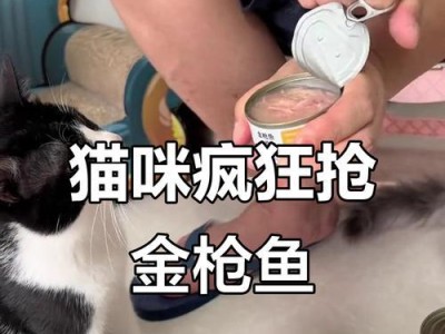 小猫何时可以开始吃鱼？（鱼肉在小猫饮食中的重要性与适宜时机）