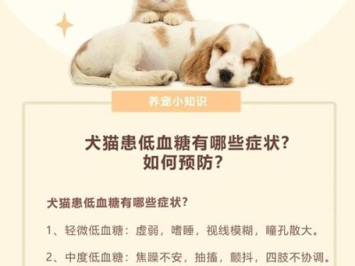 狗狗低血糖的治疗时长及关键因素（了解治疗低血糖所需的时间以及影响因素）