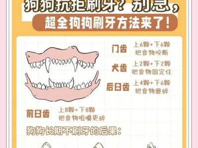 狗狗也要刷牙，维护口腔健康更重要！（给你的爱犬一个健康笑容，从正确刷牙开始！）