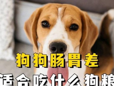 狗狗胃不好的食物禁忌（了解狗狗胃部健康，呵护它的饮食习惯）