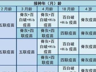 全面了解以8联疫苗的意义与功能（探索以8联疫苗在预防传染病中的重要地位）