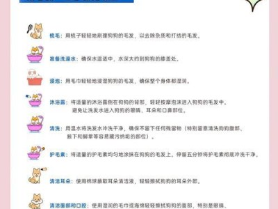 正确给狗狗洗澡的步骤与注意事项（为你的宠物提供一个舒适的洗澡体验，）