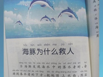 海豚的聪明程度超乎想象（探索海豚智慧的奥秘）