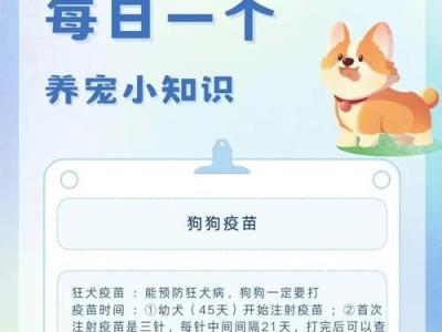 如何正确饲养金毛犬，让它健康快乐成长（关注金毛犬的饮食、训练、运动和日常护理）