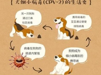 细小病治愈的时间和方法（深入了解细小病治疗的关键因素和时间要求）
