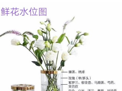 了解花水泡的完美饲养法（从选购到养护，如何满足您的饲养需求）