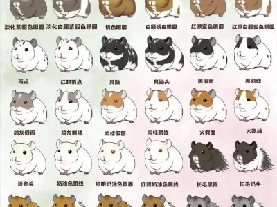 仓鼠的健康肠胃饮食秘籍（什么食物能帮助仓鼠保持健康的肠胃？）
