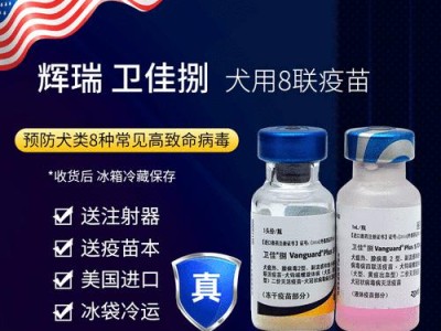 狗狗免疫接种（了解狗狗疫苗接种的时间间隔和建议，让你的宠物更健康！）