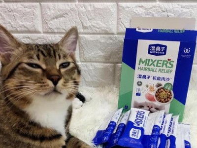 猫咪的神奇鼻子（猫咪的鼻子如何帮助它们找到方向，决定它们的食欲？）