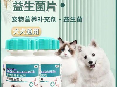 狗狗肠胃调理需要多长时间？（了解调理肠胃的关键方法，助力狗狗健康）