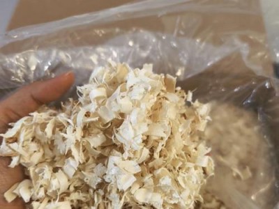 如何选择合适的木屑给仓鼠使用？（养仓鼠必知的木屑选择和更换秘籍）