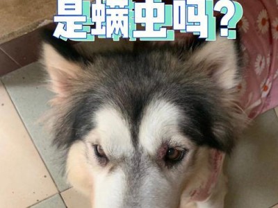 狗狗身上的细菌（揭秘狗狗细菌多样性及对健康的影响）