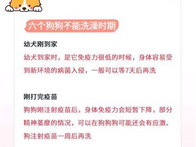 小狗洗澡频率的合理安排（如何确定小狗的洗澡周期）