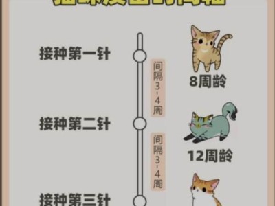 科拉特猫的饲养指南（健康快乐的伙伴）