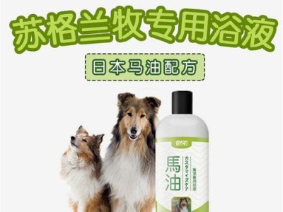 长须柯利牧羊犬的完美饲养方法（养犬初学者必备的养护秘诀）