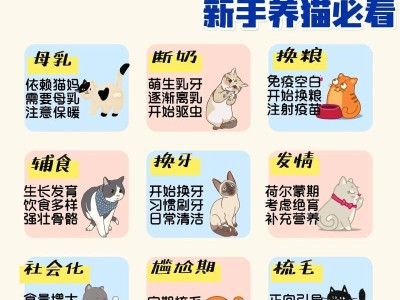猫咪的年龄决定如何喂养（根据年龄段合理喂养，让猫咪健康快乐）