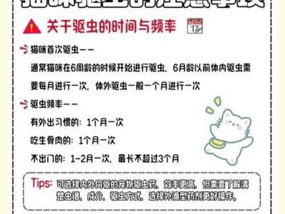 从吃打虫药到排出体外，需要多久？（探讨打虫药在人体内的排泄时间和相关因素）