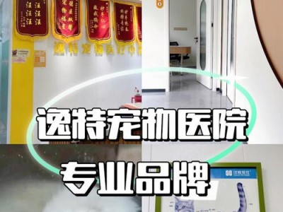 猫腿受伤需要恢复多久？（猫腿受伤恢复时间因伤势严重程度而异）