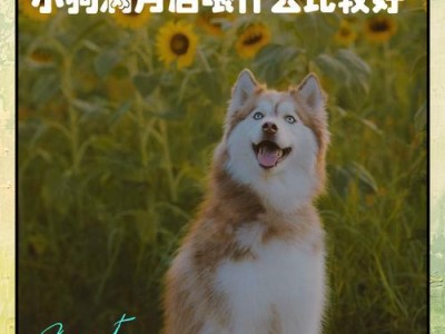 小奶狗喝母乳多久合适？（探讨小奶狗喝母乳的时长和注意事项）