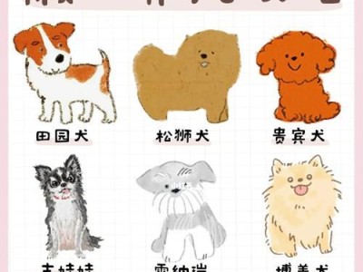 如何解决松狮犬的挑食问题？（以宠物为主，了解松狮犬的挑食习惯）