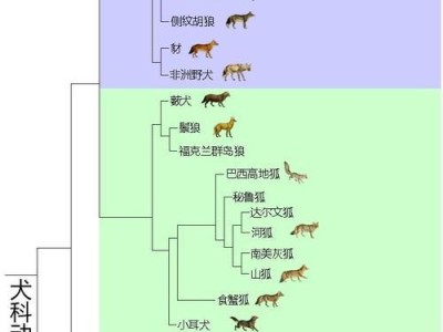 英国猎狐犬饲养指南（了解这个优雅、勇敢的猎犬）